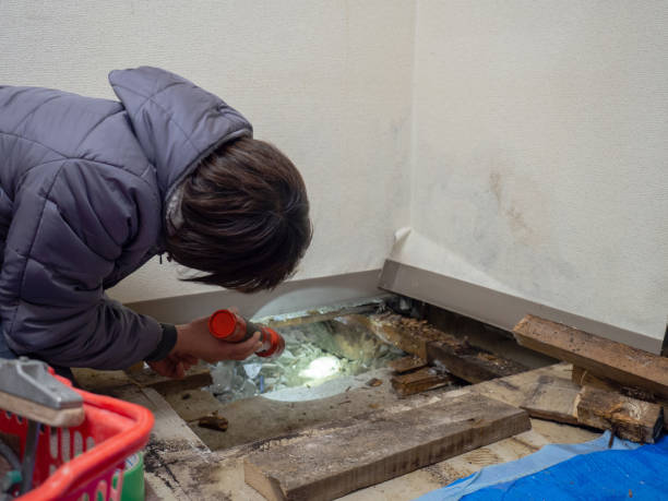 Wurtsboro, NY Mold Removal Company