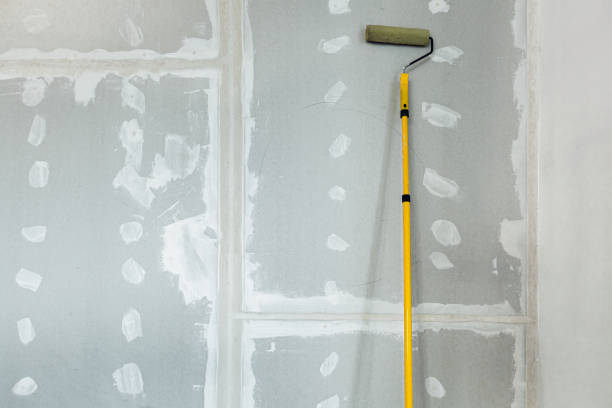 Best Emergency Mold Remediation  in Wurtsboro, NY